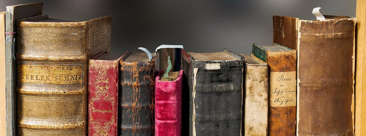 Buchrücken historischer Schulbücher aus dem Archiv der Zeitreise-Manufaktur